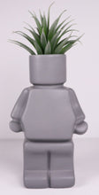 Load image into Gallery viewer, Block Man Pot Plant
