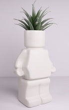Load image into Gallery viewer, Block Man Pot Plant
